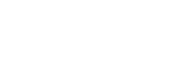 salini-impregilo